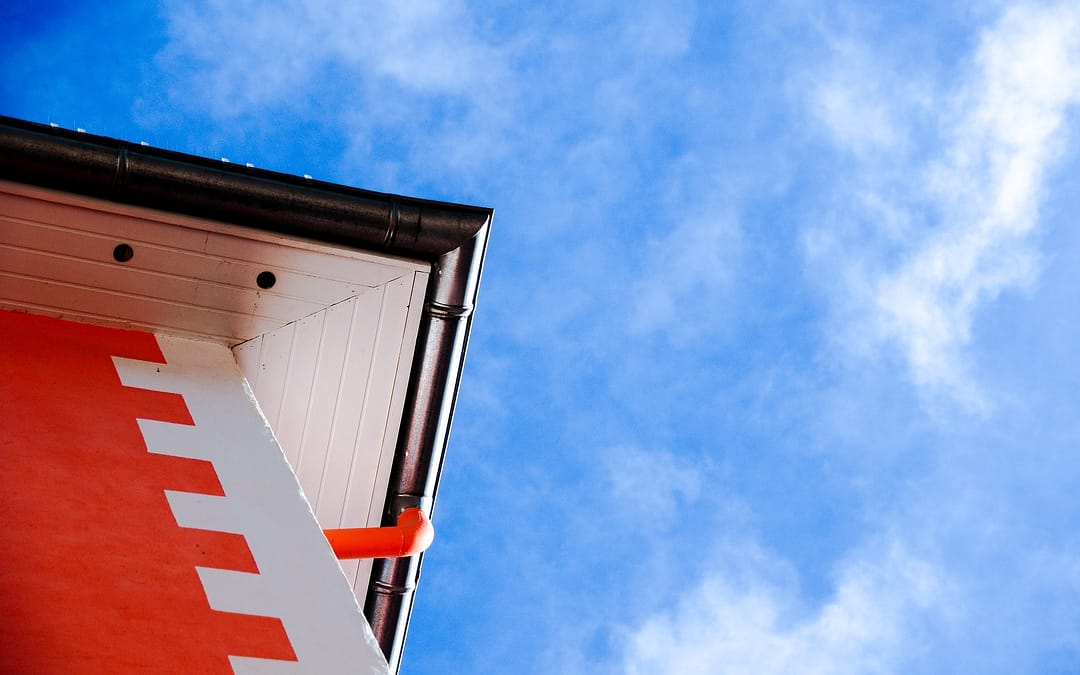 Gutter Guards vs. Professional Gutter Cleaning: Which Option is Best for You?