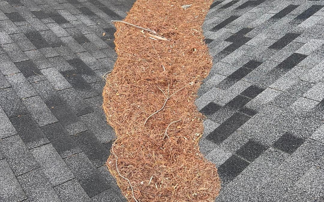 Benefits of Hiring a Professional Gutter Cleaning Company