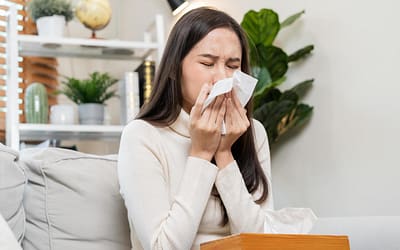 The Role of Window Cleaning in Allergy Prevention