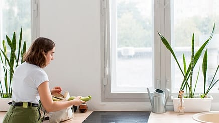 5 Signs Your Window Screens Need Repair 5 Signs Your Window Screens Need Repair