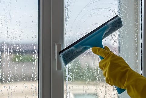 How to Clean Windows & Protect Screens | TruShine How to Clean Windows & Protect Screens | TruShine