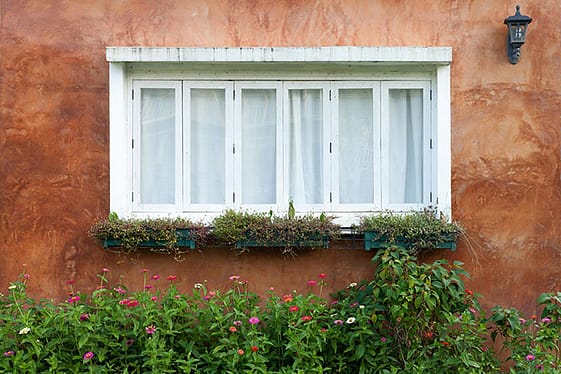 Maintain Home Beauty: Best Window Cleaning Tips Maintain Home Beauty: Best Window Cleaning Tips